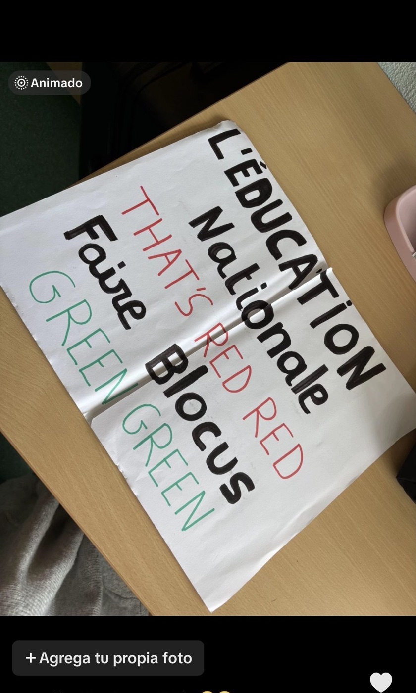 A handwritten French protest sign reading L&rsquo;Education Nationale that&rsquo;s RED RED and Faire Blocus GREEN GREEN